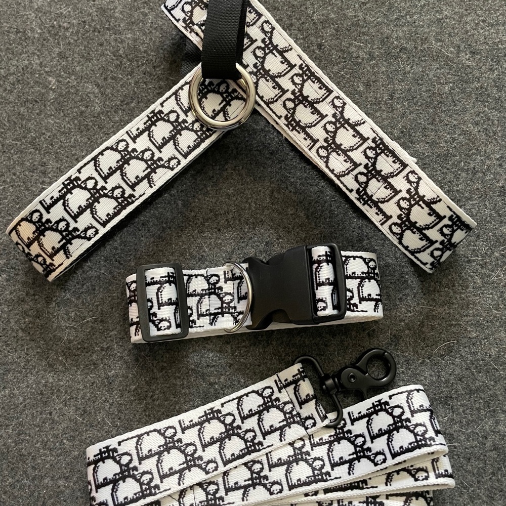 Dog Leash/Collar Set